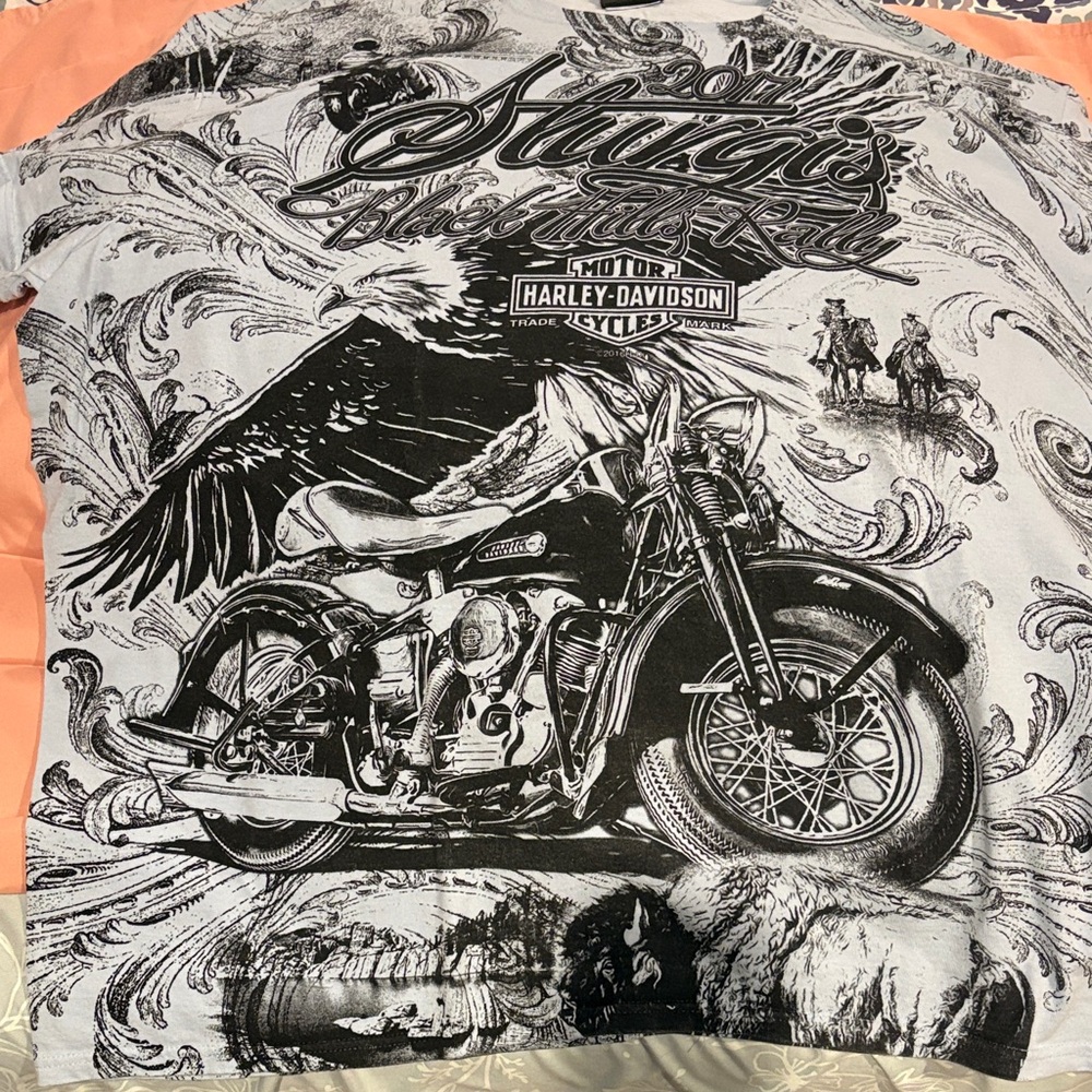 Harley-Davidson Black and blue Graphic Tee